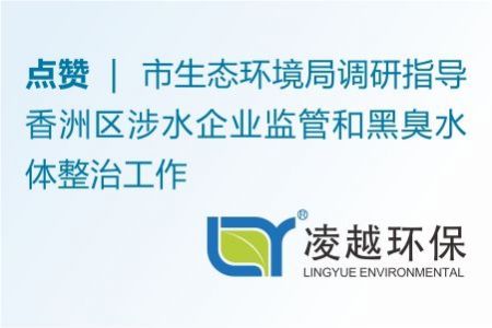 市生态环境局调研指导香洲区涉水企业监管和黑臭水体整治工作